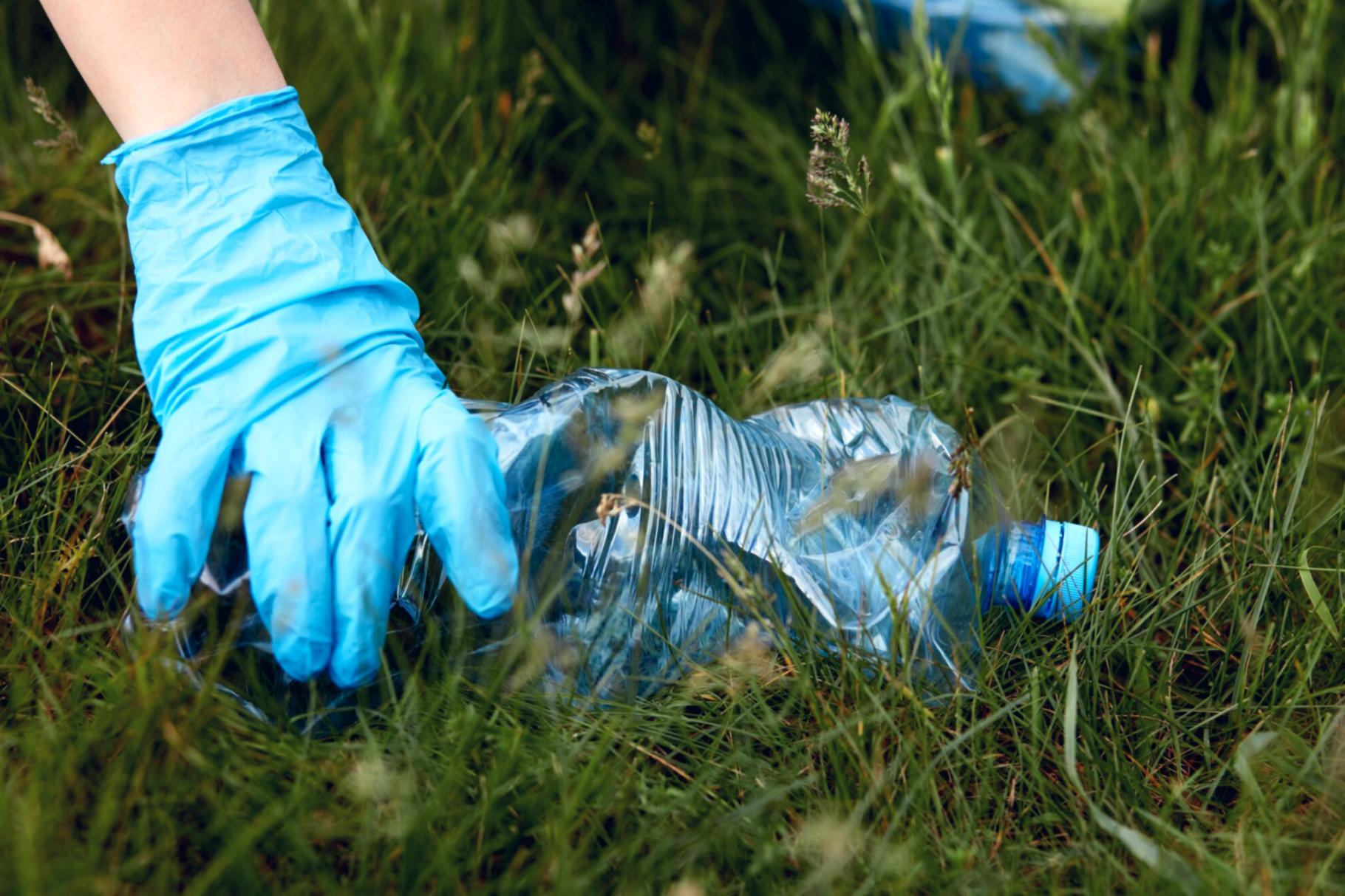 Session de formation collaborative en écologie évolutive