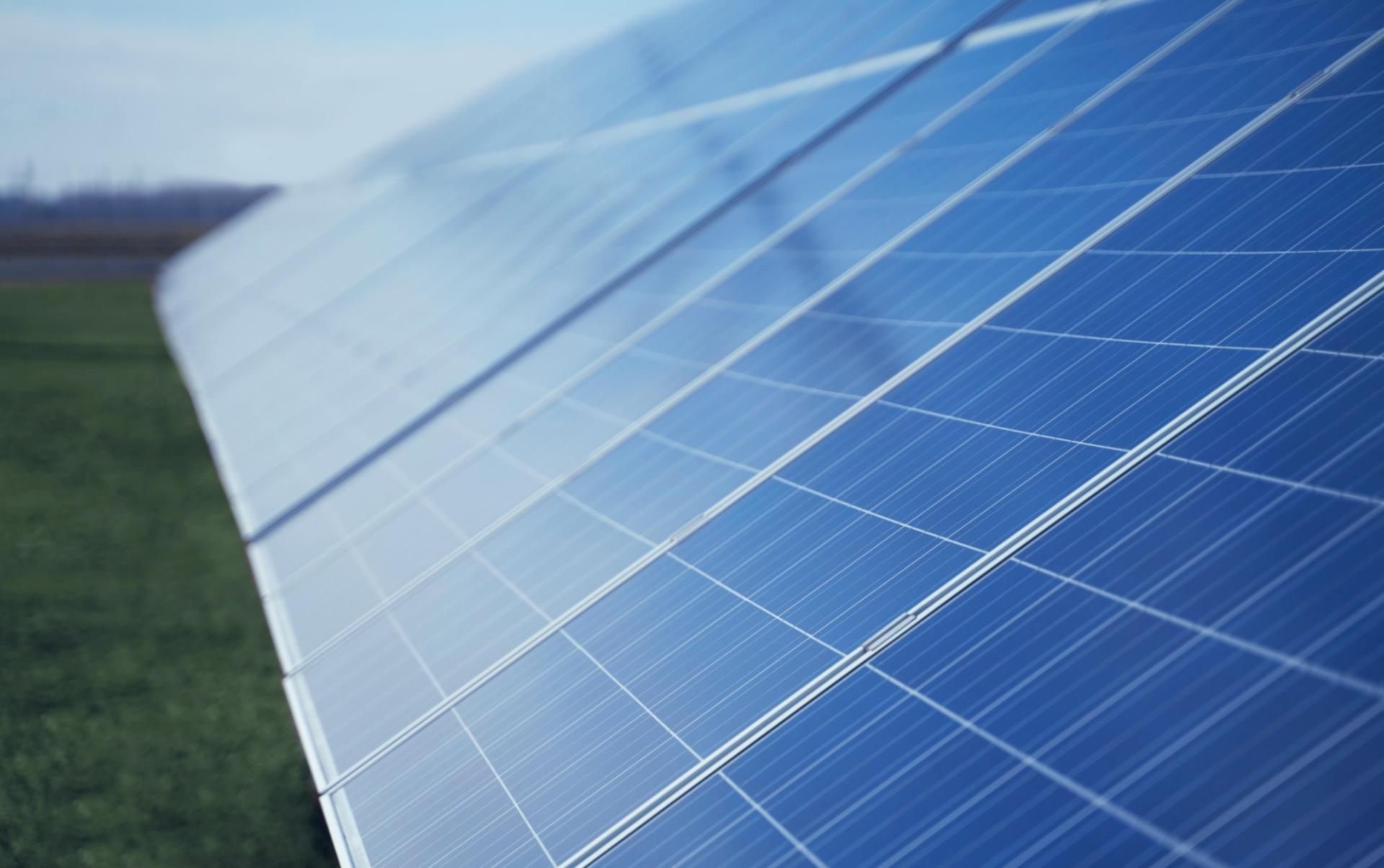 Étude de terrain en écologie