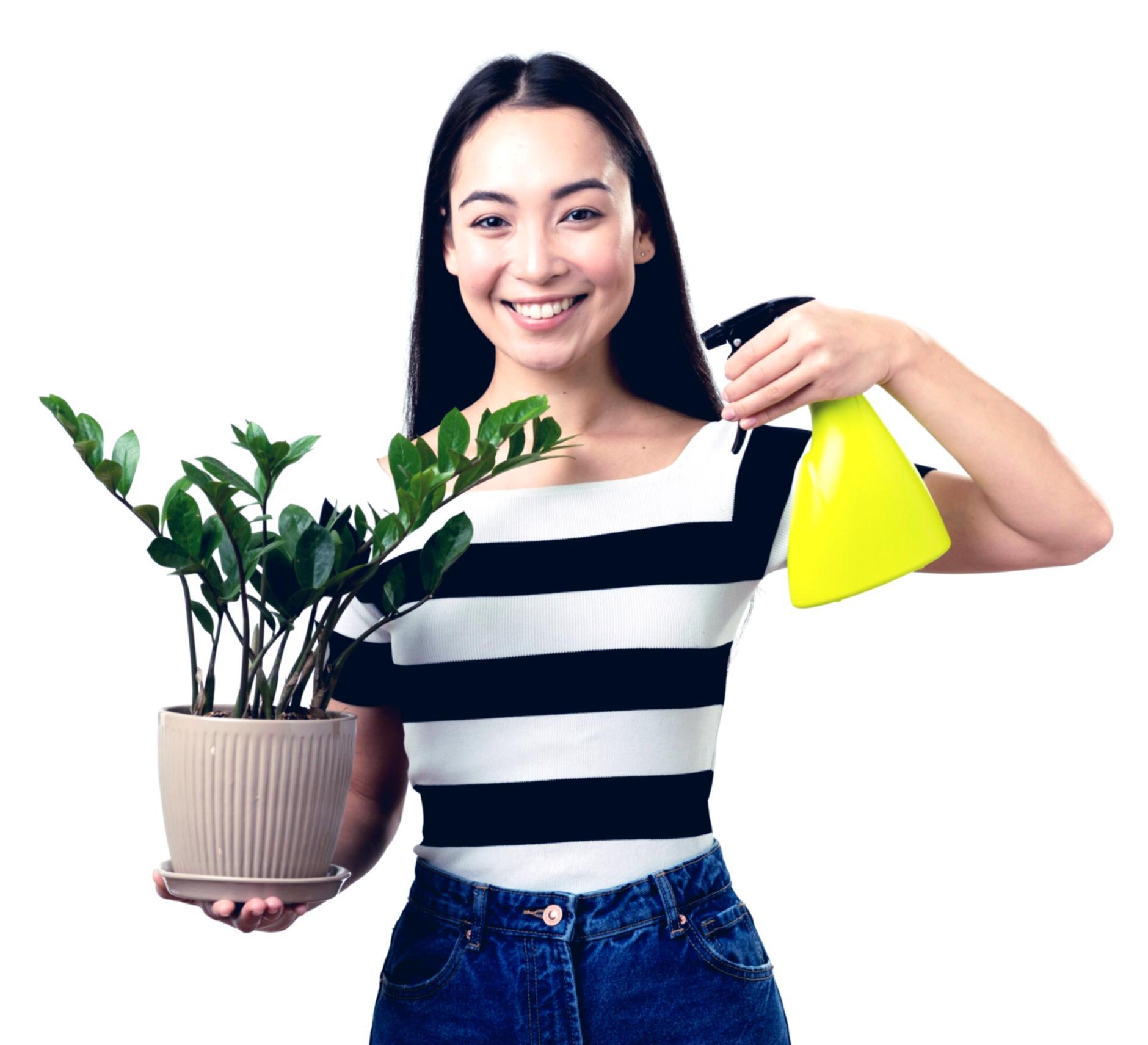 Apprentissage appliqué en milieu professionnel